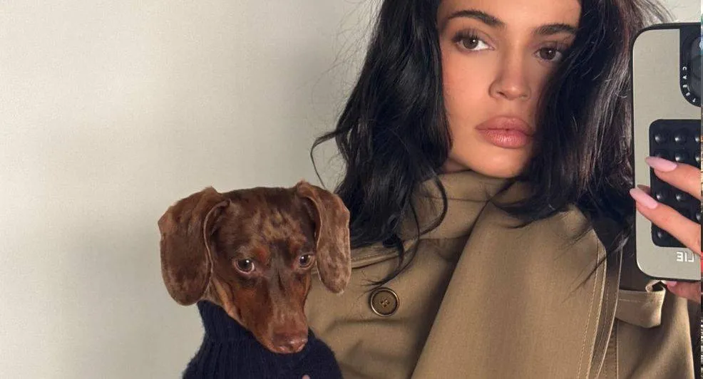 kylie jenner en timothee chalamet