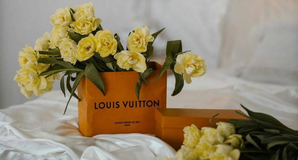 Louis Vuitton dolfijntas