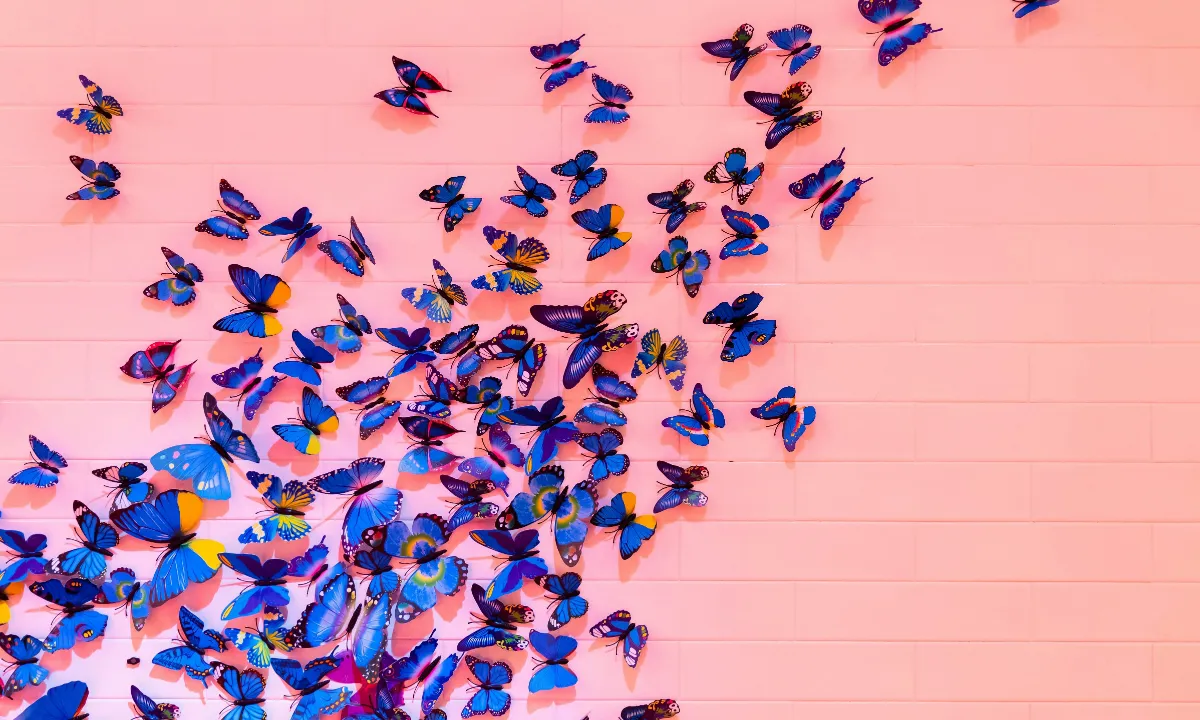 butterfly effect