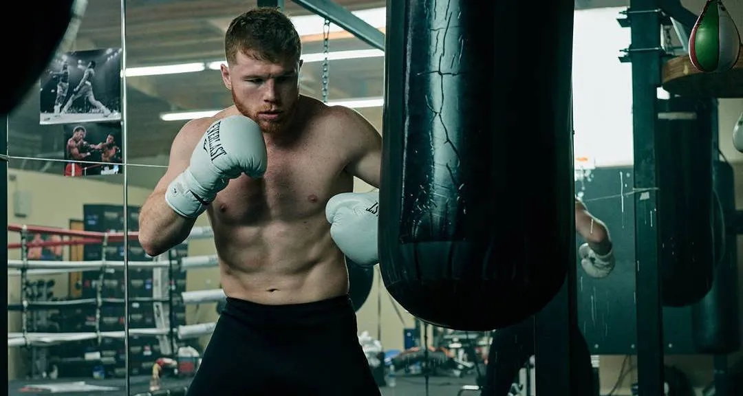 canelo 1