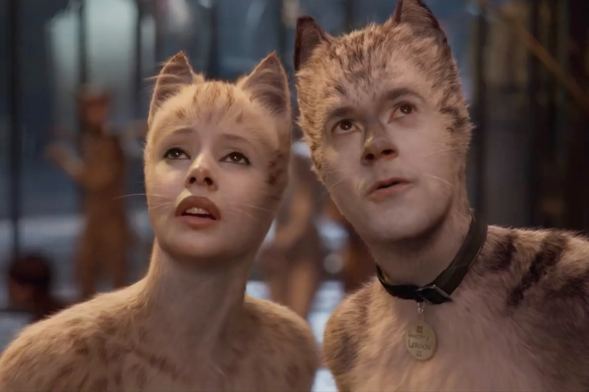 cats screenshot