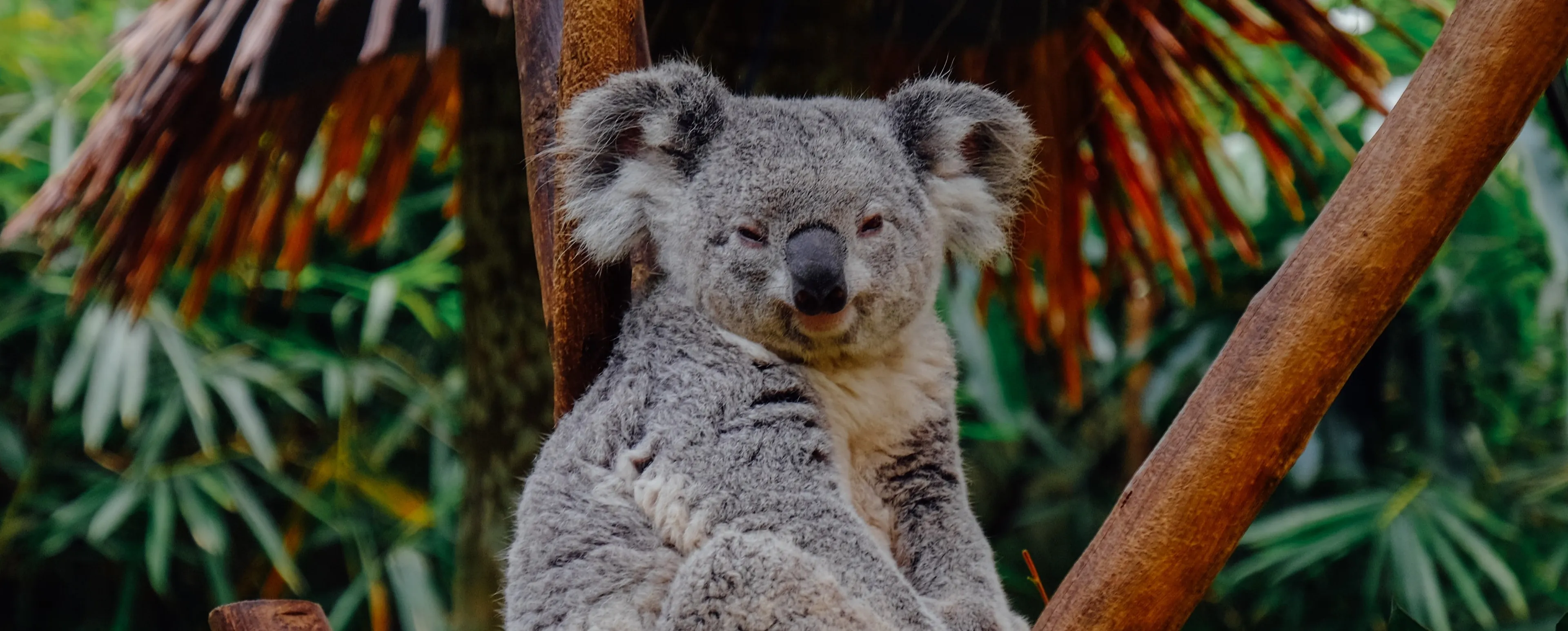 5 plekken die bewijzen dat je Australië op je travel bucketlist moet zetten