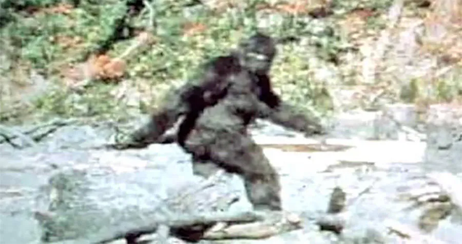 famous bigfoot