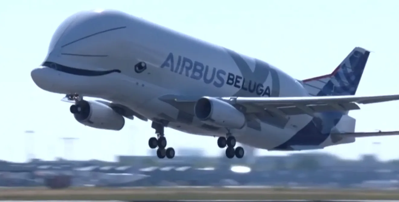 fhm belugaxl