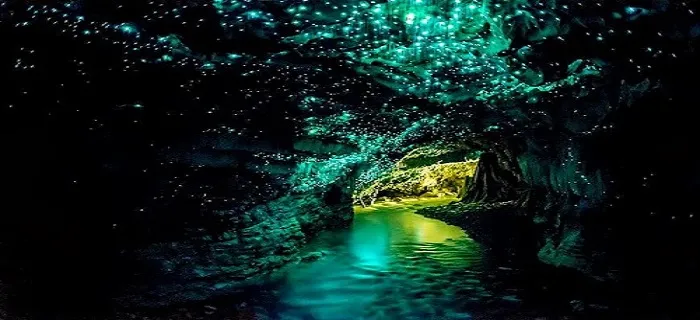 glowworm