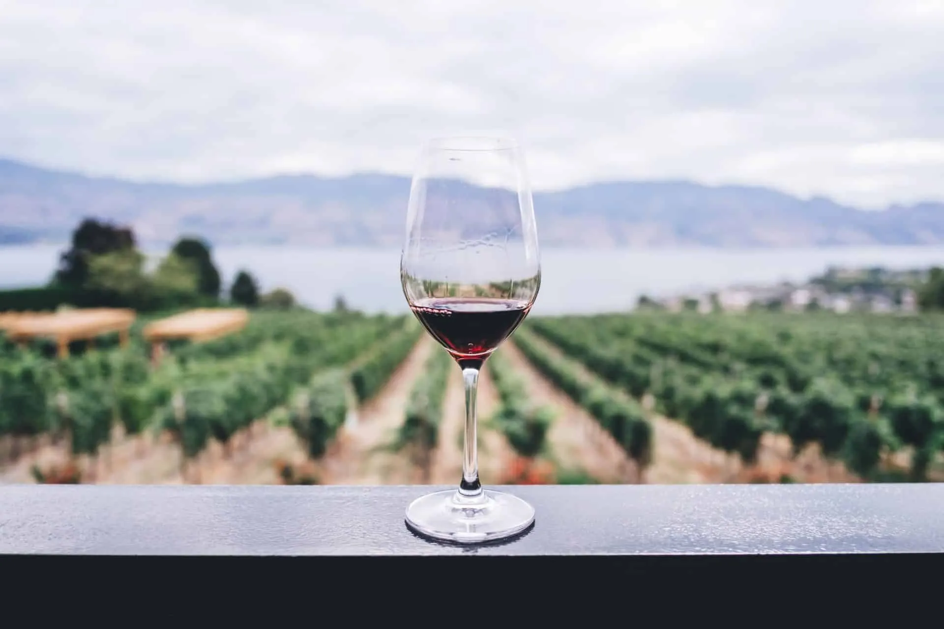 header wine