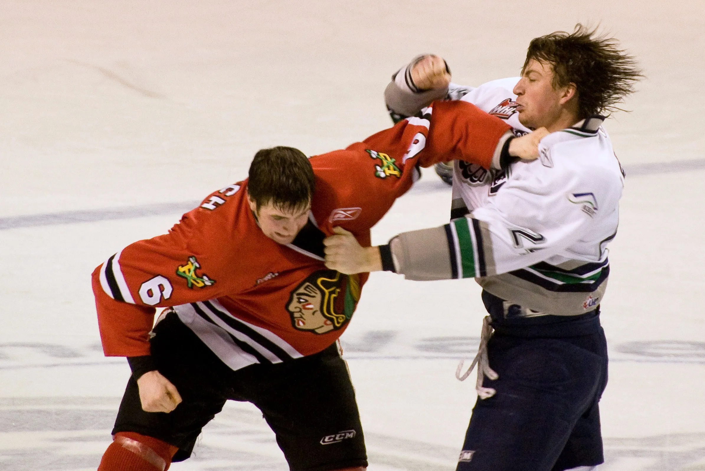 ijshockey fight