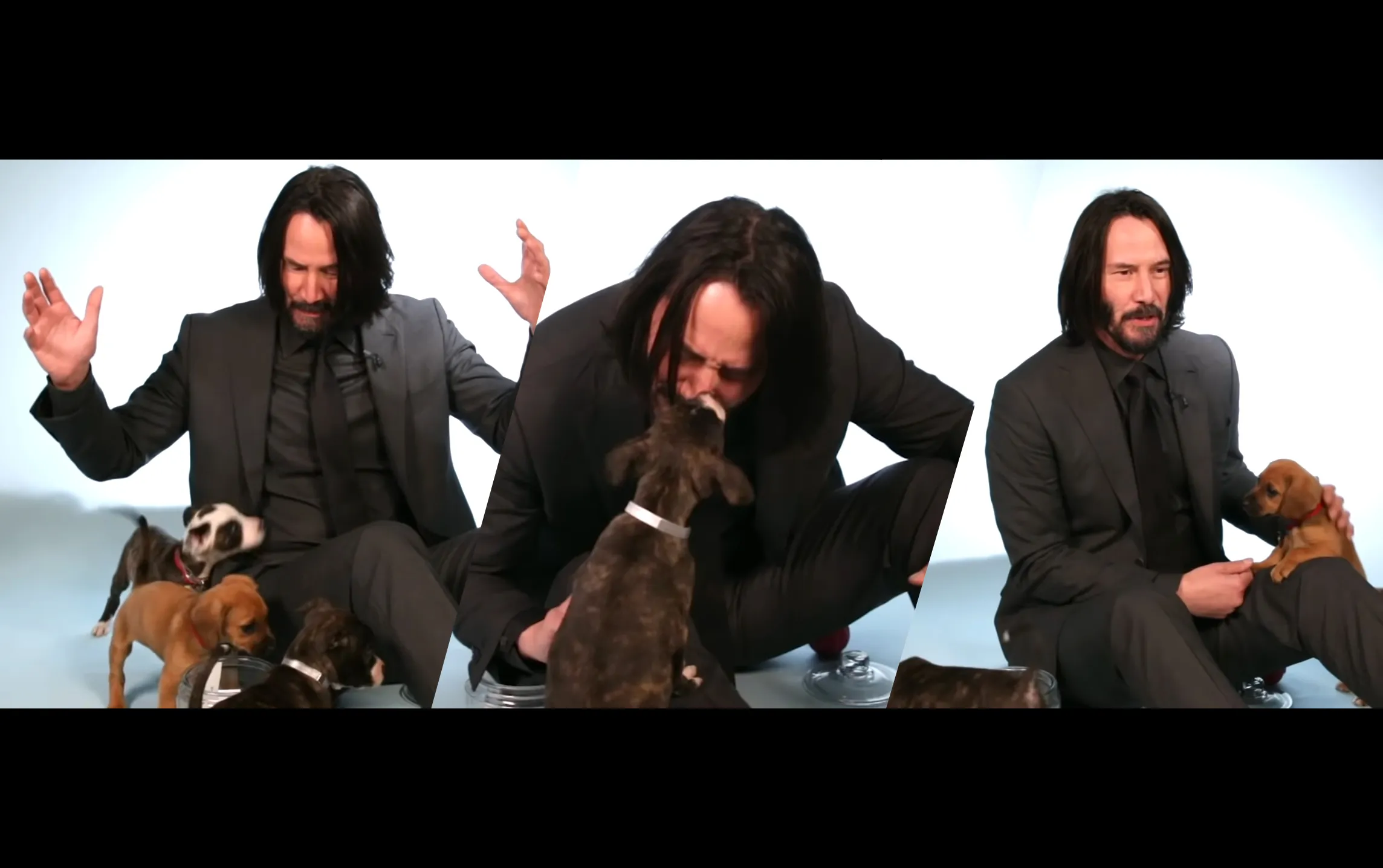 keanu met puppies sj edit