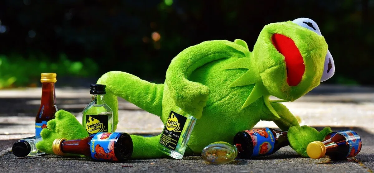 kermit frog drink alcohol drunk rest sit fig 497331