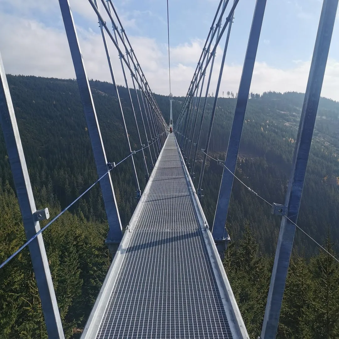 langste brug