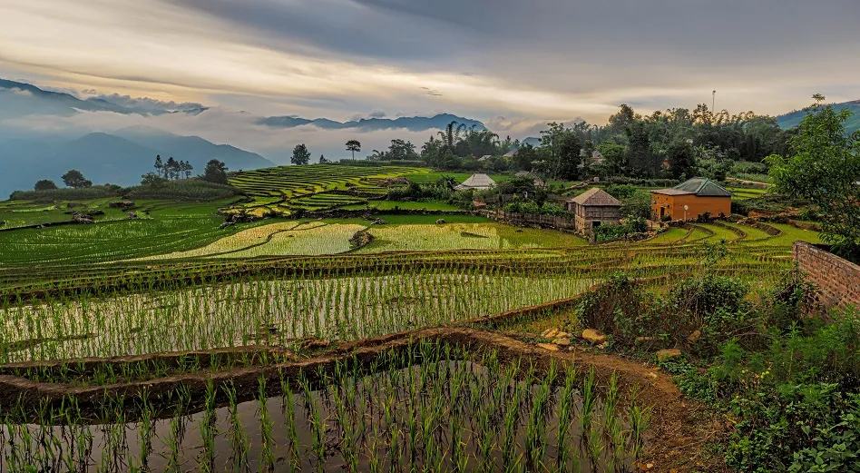 25 foto's die bewijzen dat je naar Vietnam moet