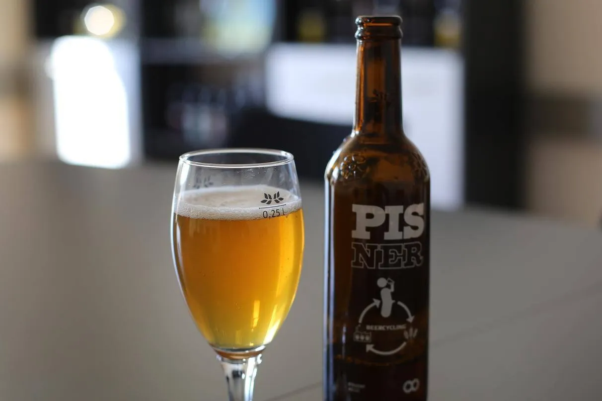 pisner urine beer