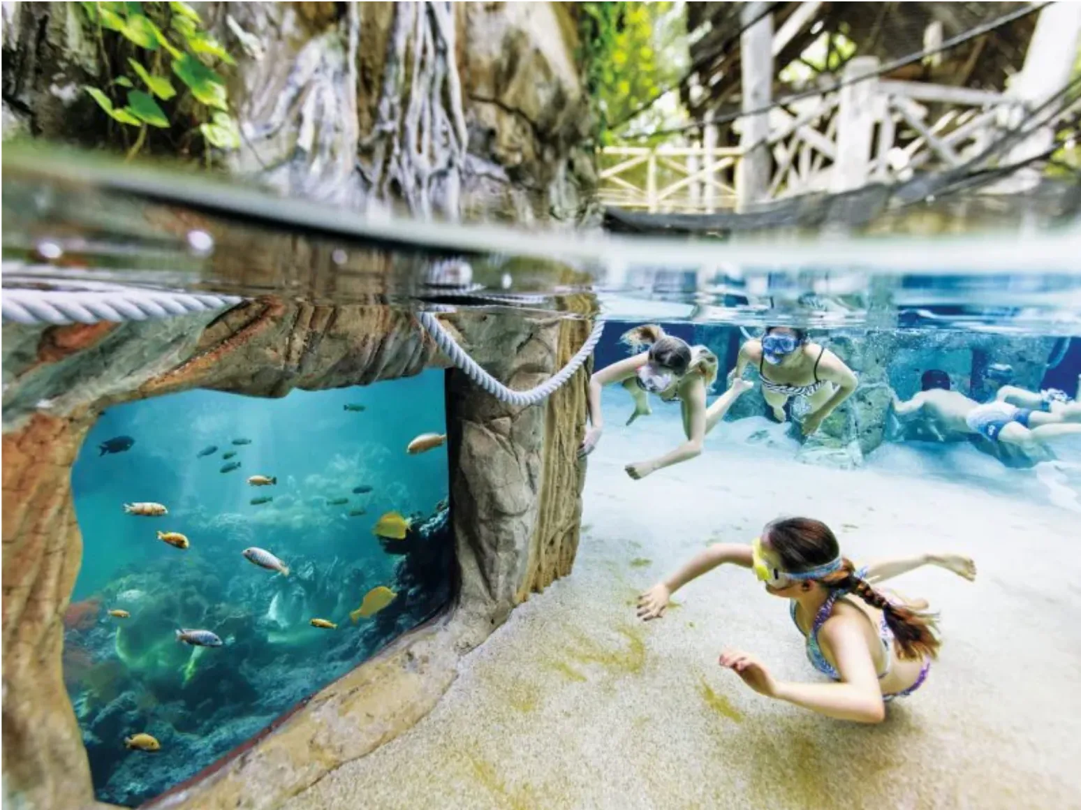5 vakantieparken in Nederland met subtropisch zwembad waar jij wil vertoeven