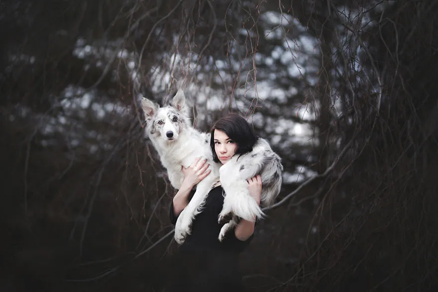soulful portraits of dogs exploring beauty of surreal landscapes 5bb230b1c345b 880