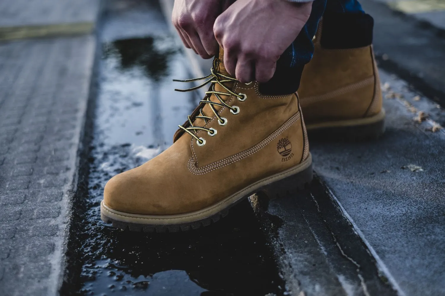 timberland01