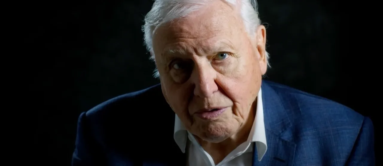 david attenborough