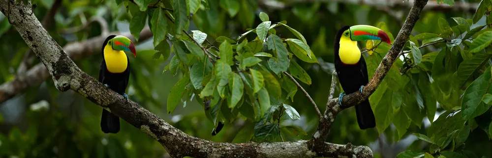 25 foto's die bewijzen dat je naar Belize moet