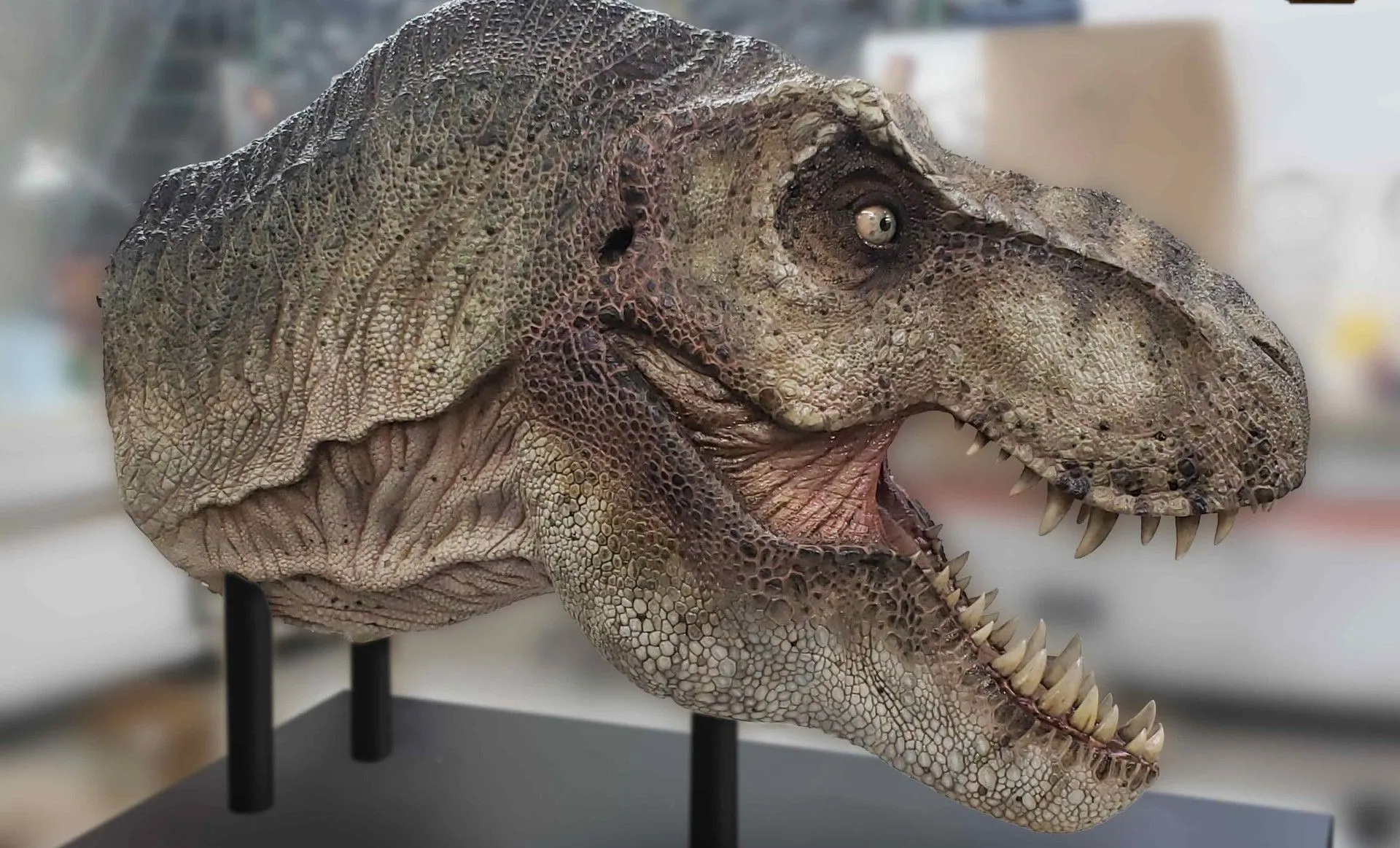 t rex