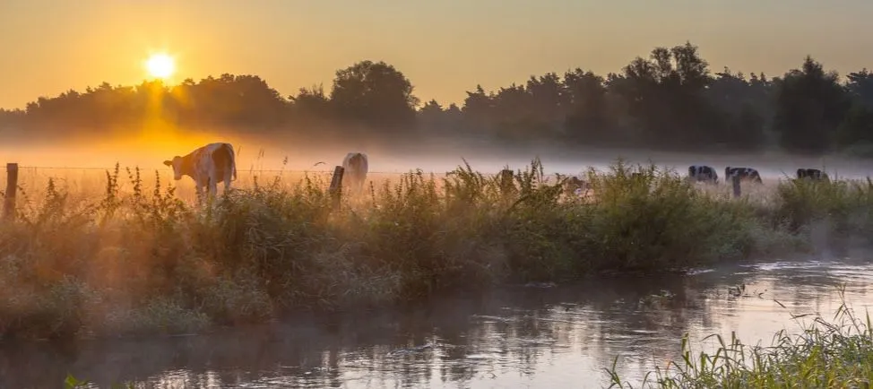 Dit is waar de meest gelukkige mensen in Nederland wonen en waarom