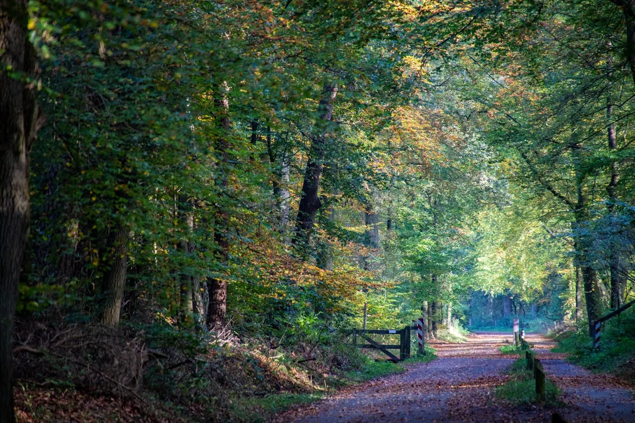 5 tips voor een mannenweekend in Nederland