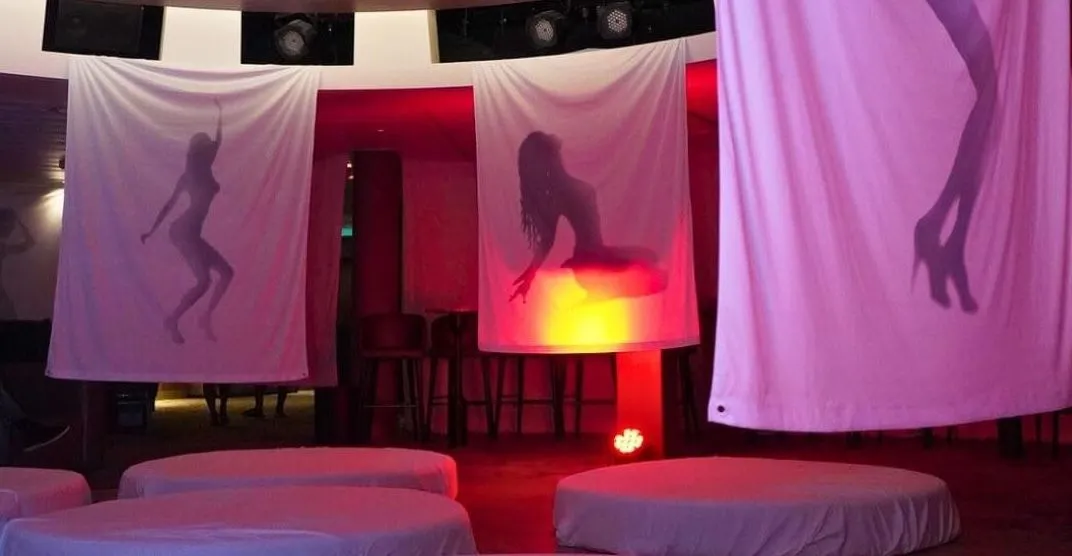 Dit gebeurt er in de red room van een ‘spicy’ cruise, speciaal voor het adult entertainment
