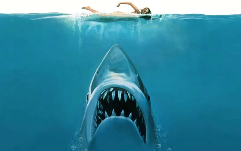 jaws head
