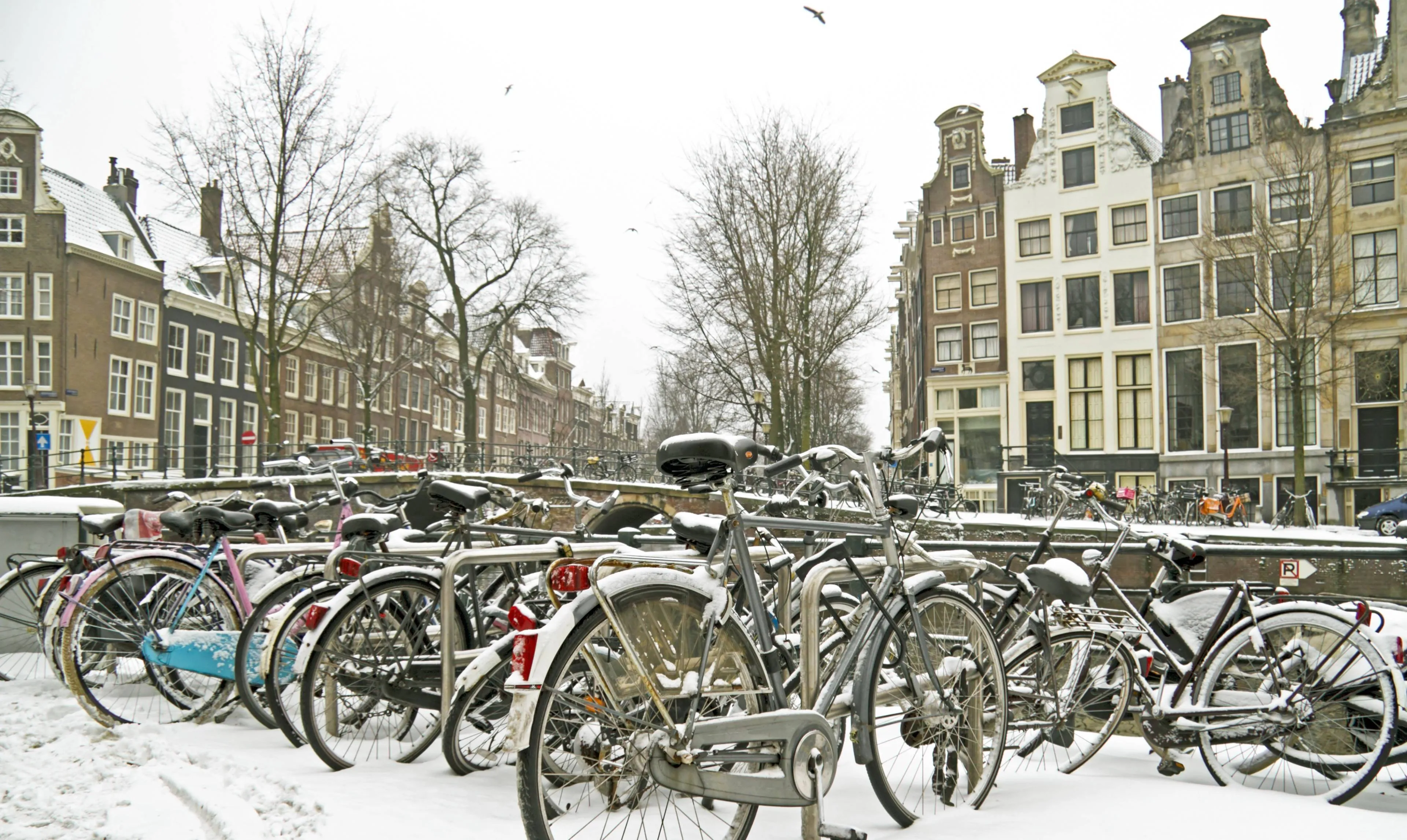 Depositphotos_38210677_XL