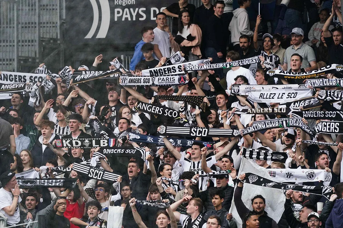 angers agression sexuelle en tribune les supporters ecoeures iconsport 206549 0012 374312
