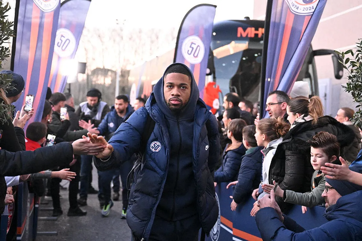 arnaud nordin quitte montpellier pour mayence iconsport 249665 0007 387550