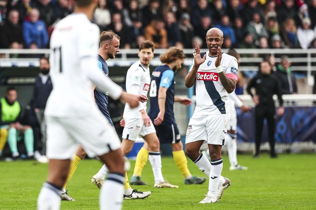 le havre cherche des tetes a couper pour noel iconsport 247682 0200 385789