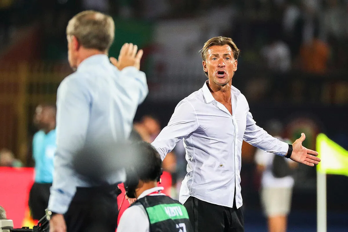 officiel herve renard quitte la selection du maroc icon 43872660258803