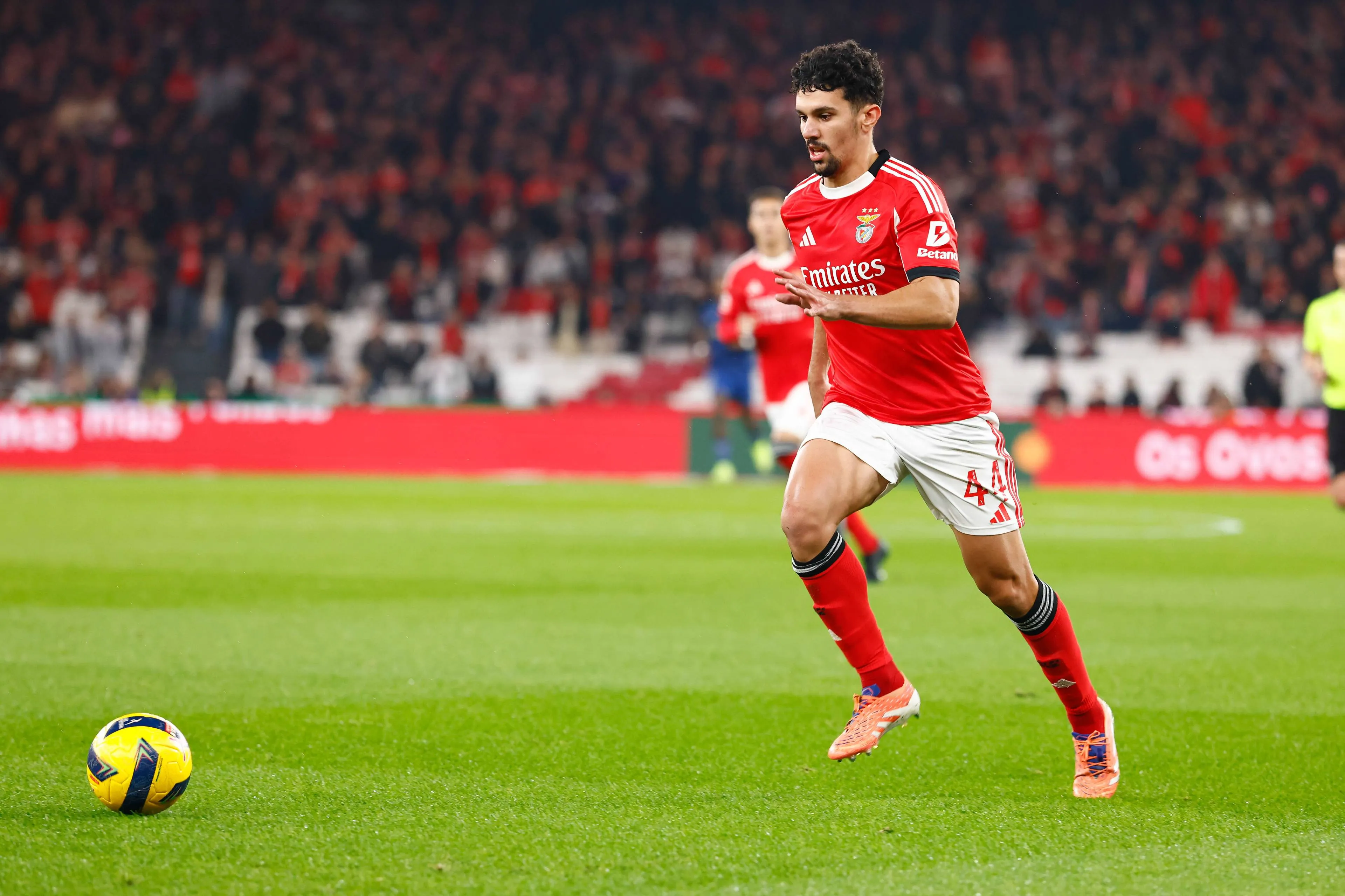 ICONSPORT_280644_0005