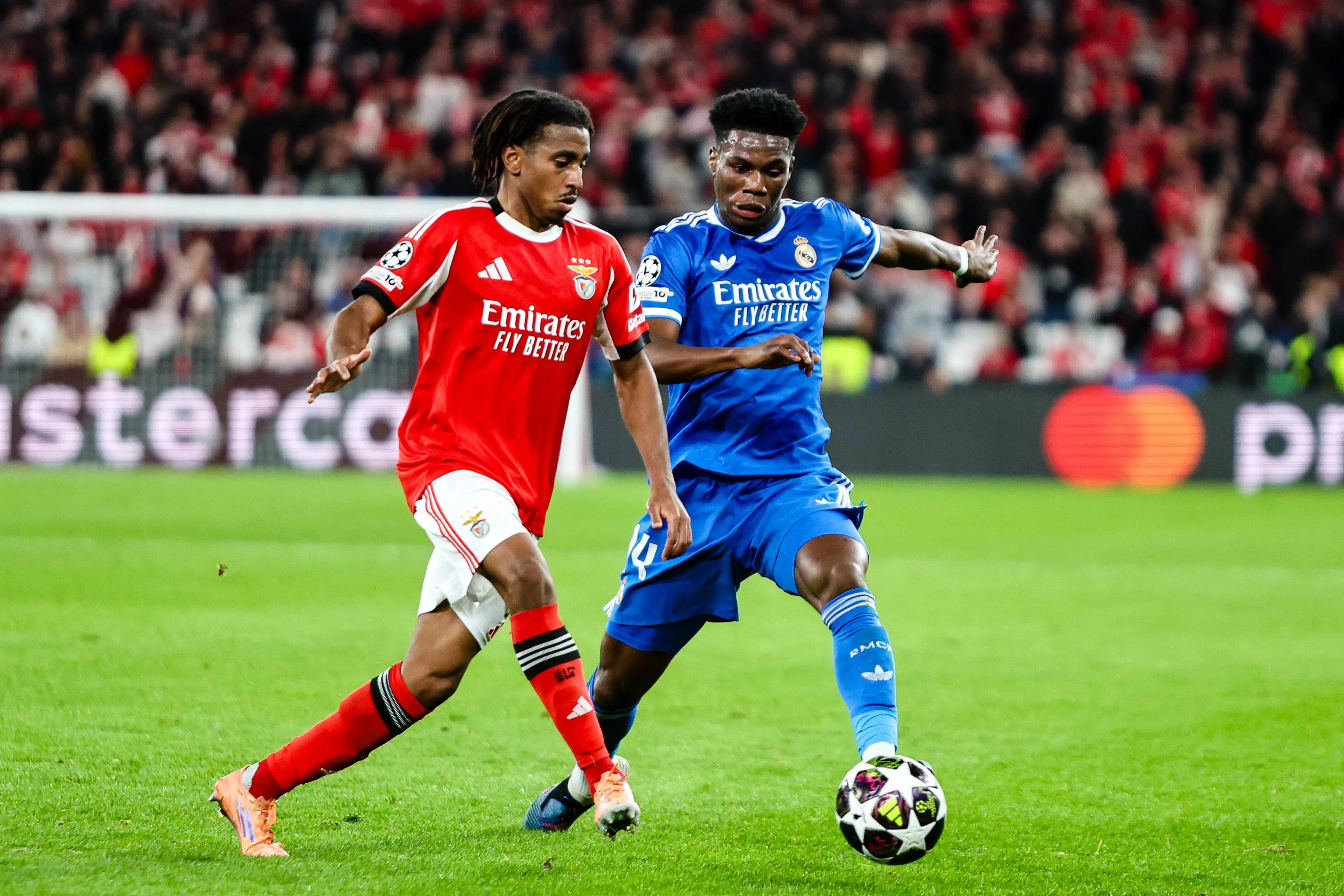 ICONSPORT_350113_0082