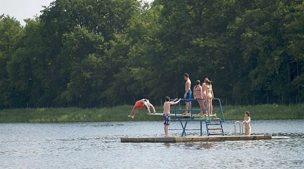 zwemmen in brabant