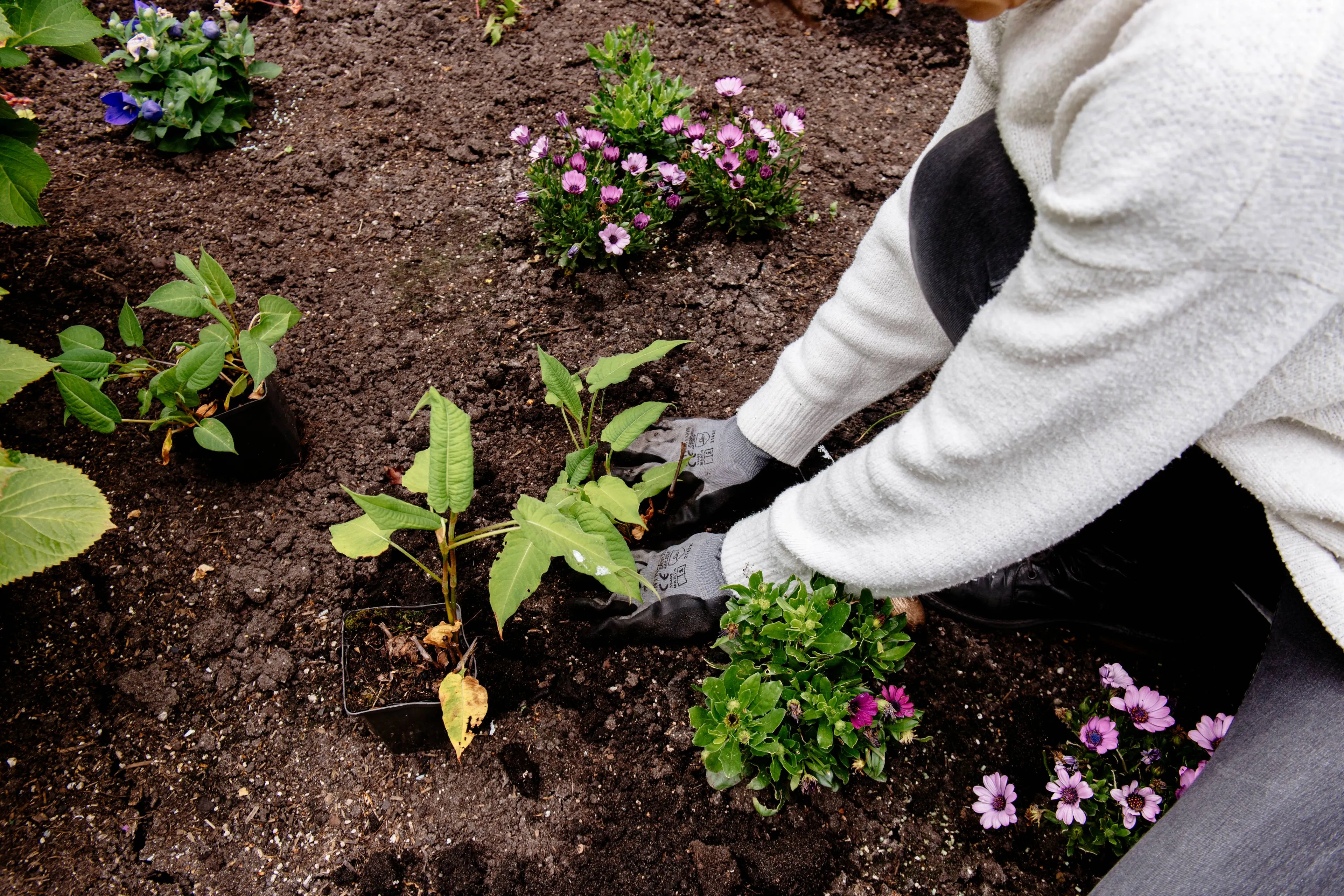 12 NK Tegelwippen-IAMKAT