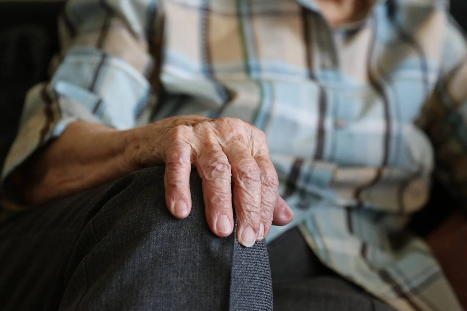 beejees-hands-1408480_1920