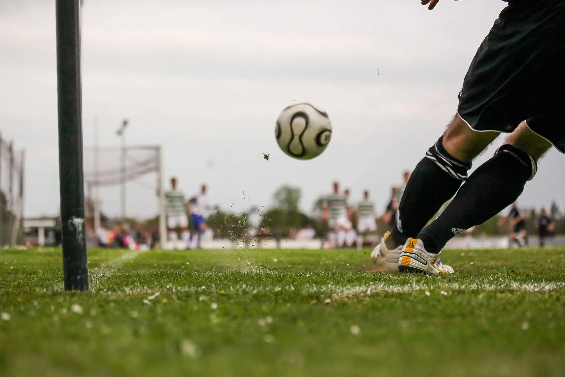 sepph-soccer-1678992_1920