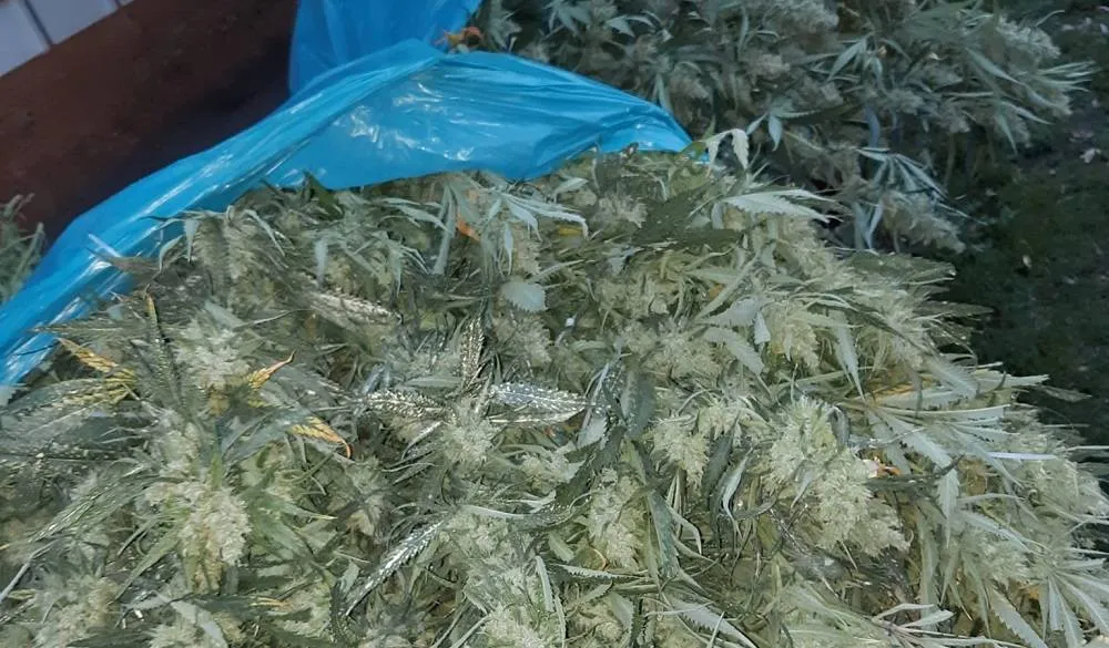 470569357_938941508366380_7513600634583702126_n