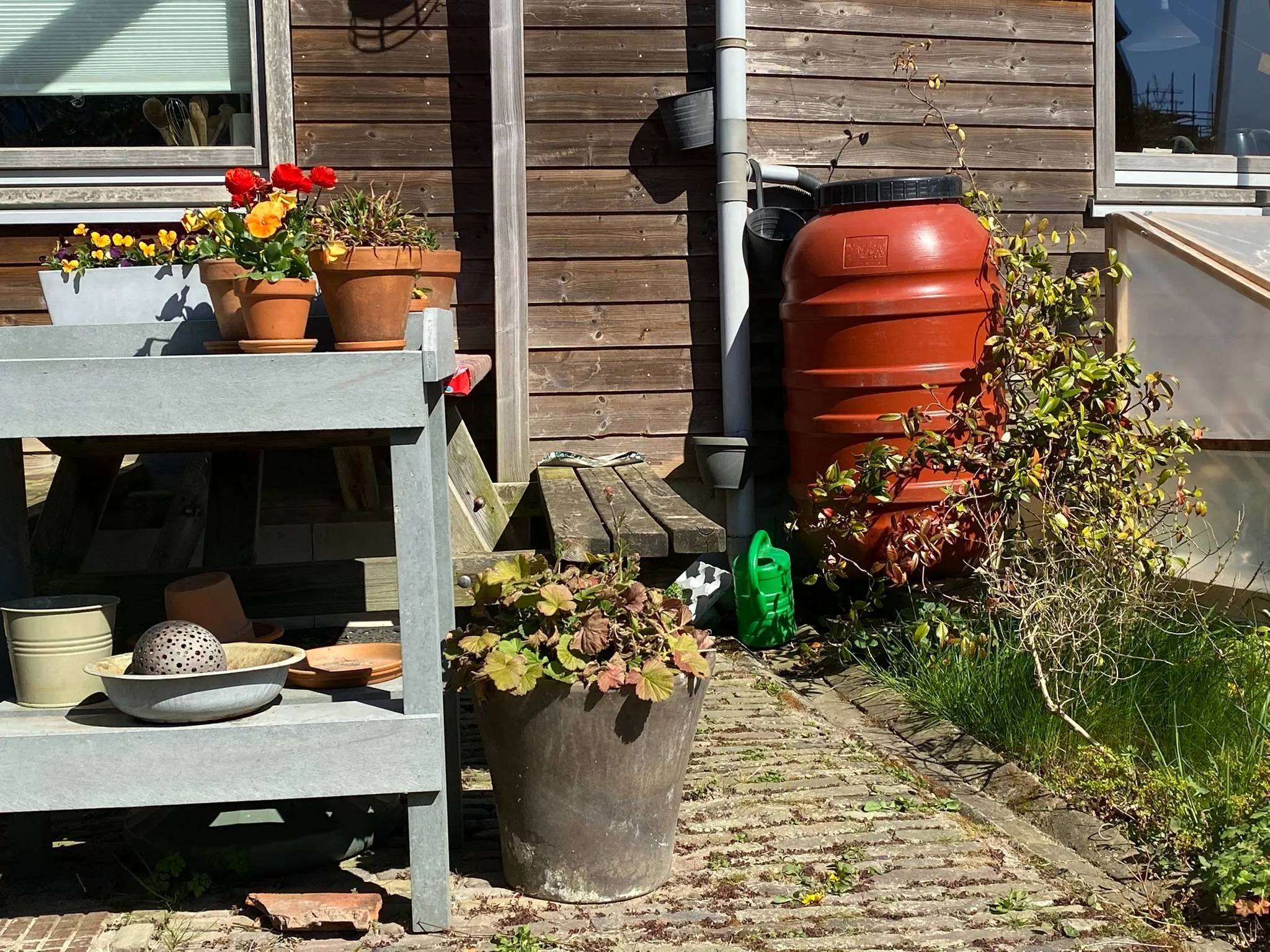 573549132_1242780677885874_2087521052639378039_n