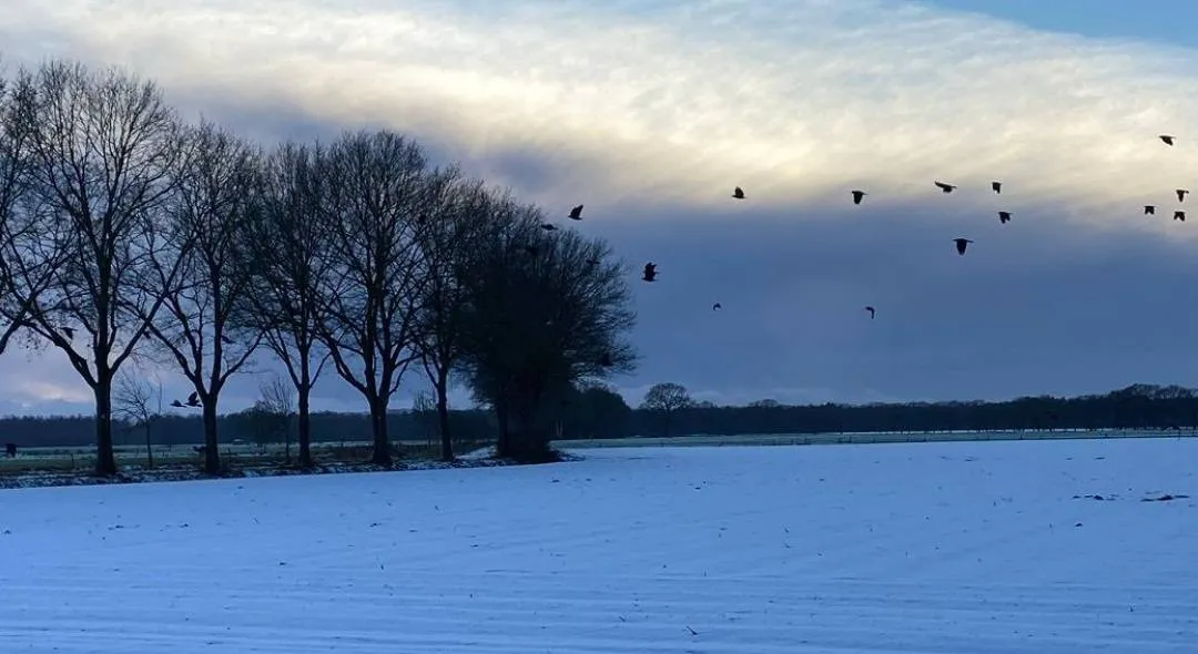 615215715_1299173478913260_39099685990810115_n