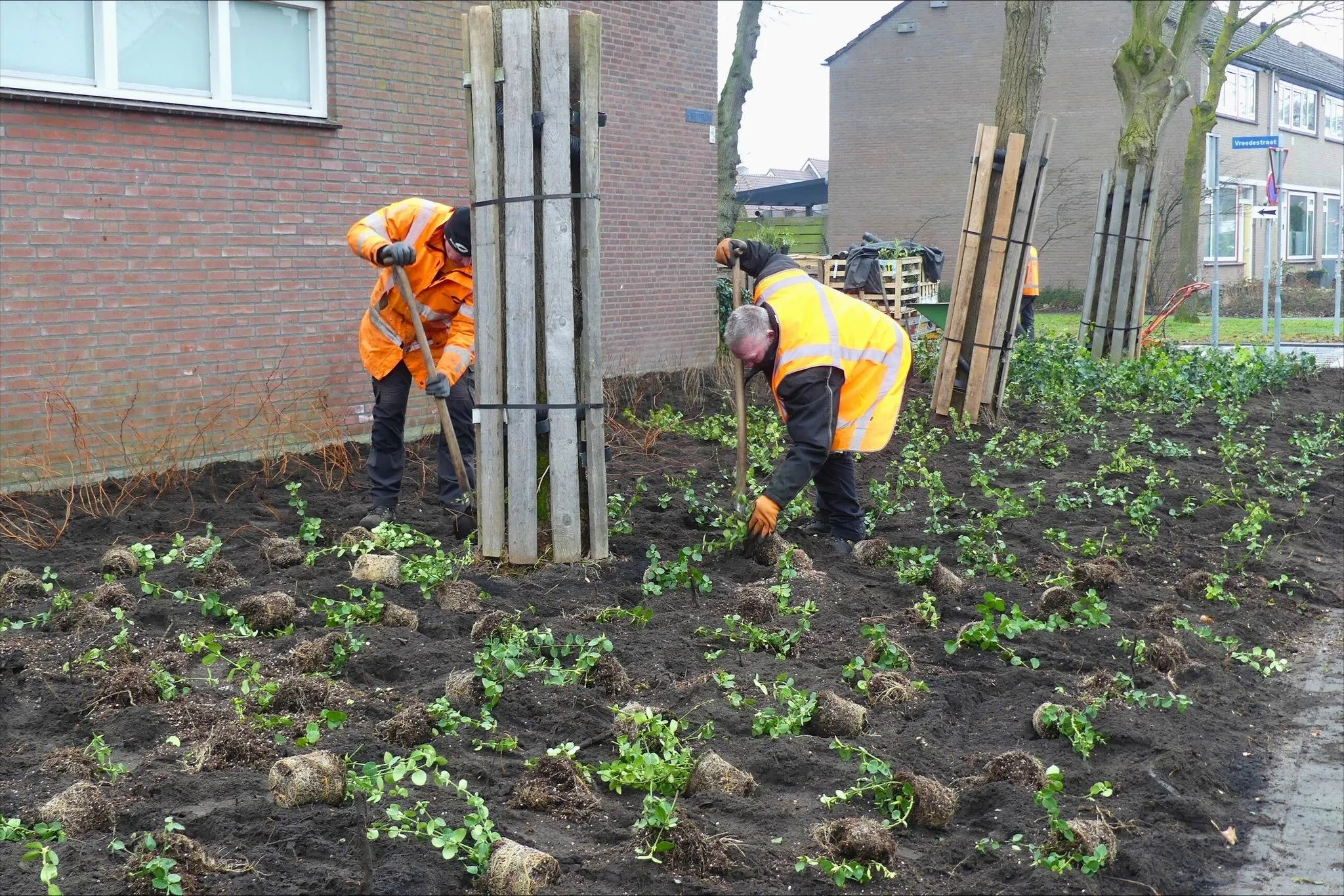 632169472_1324777936352814_6782795320736660063_n