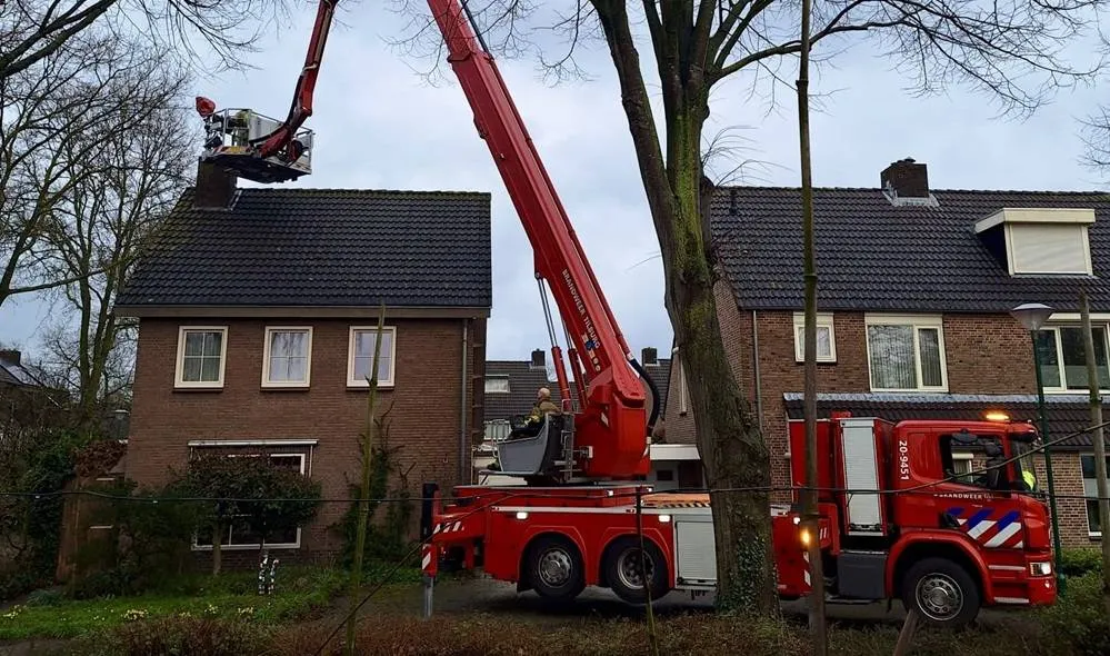 fc443a28-3625-4c82-9f12-4a5f8d0d5744