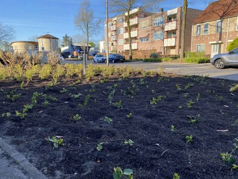 csm_2026-04-07_GR_beeld_Marga_Klompelaan_1_1__9ef4e8ca77