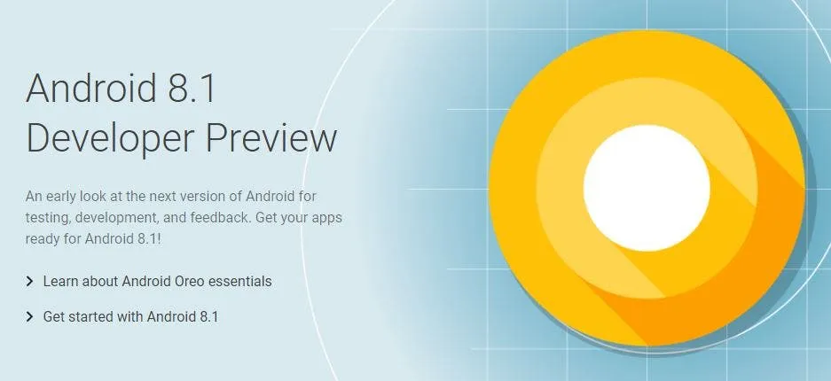 android 81 developer preveiw