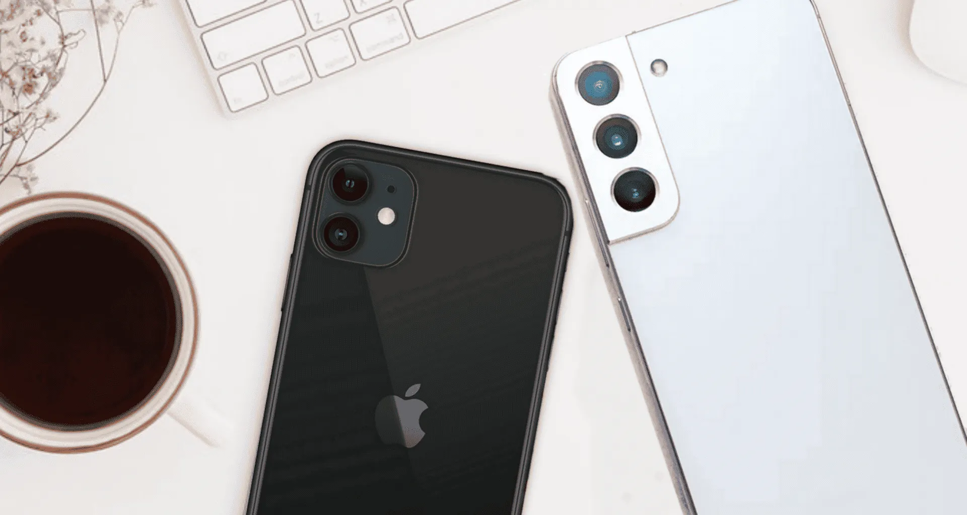 imagem 2022 02 18 214105