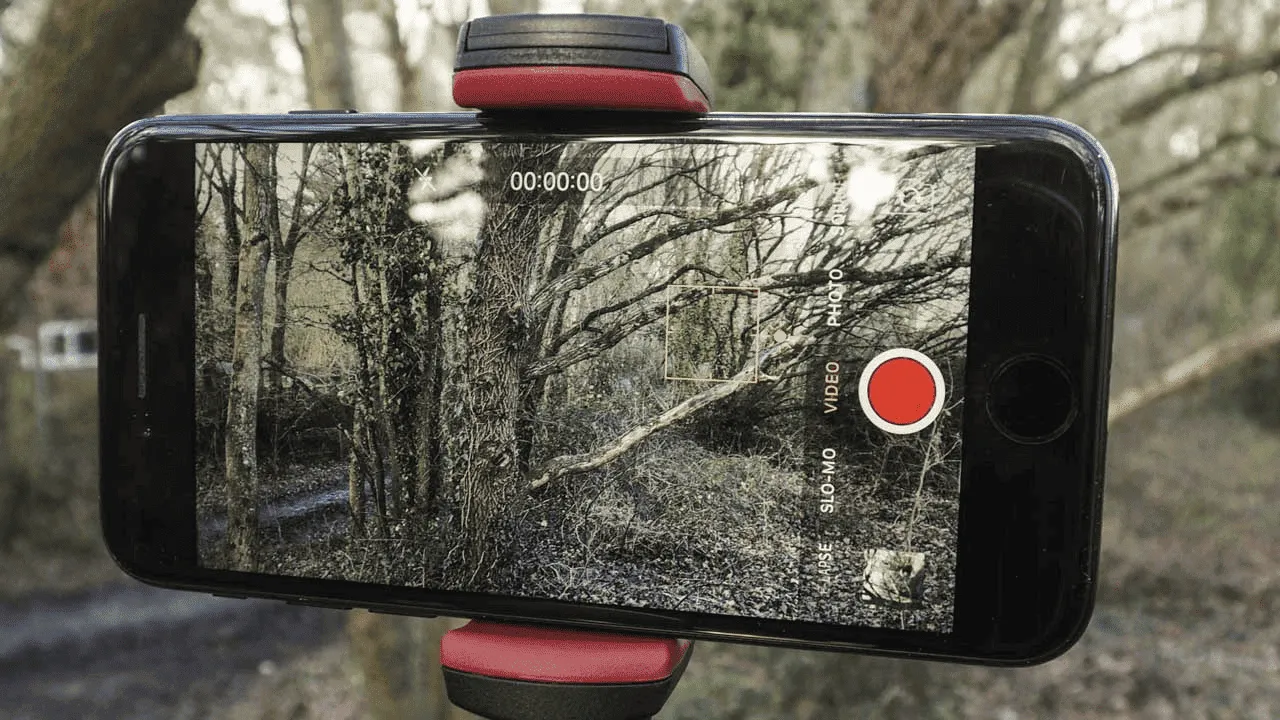 imagem 2022 11 24 185226894