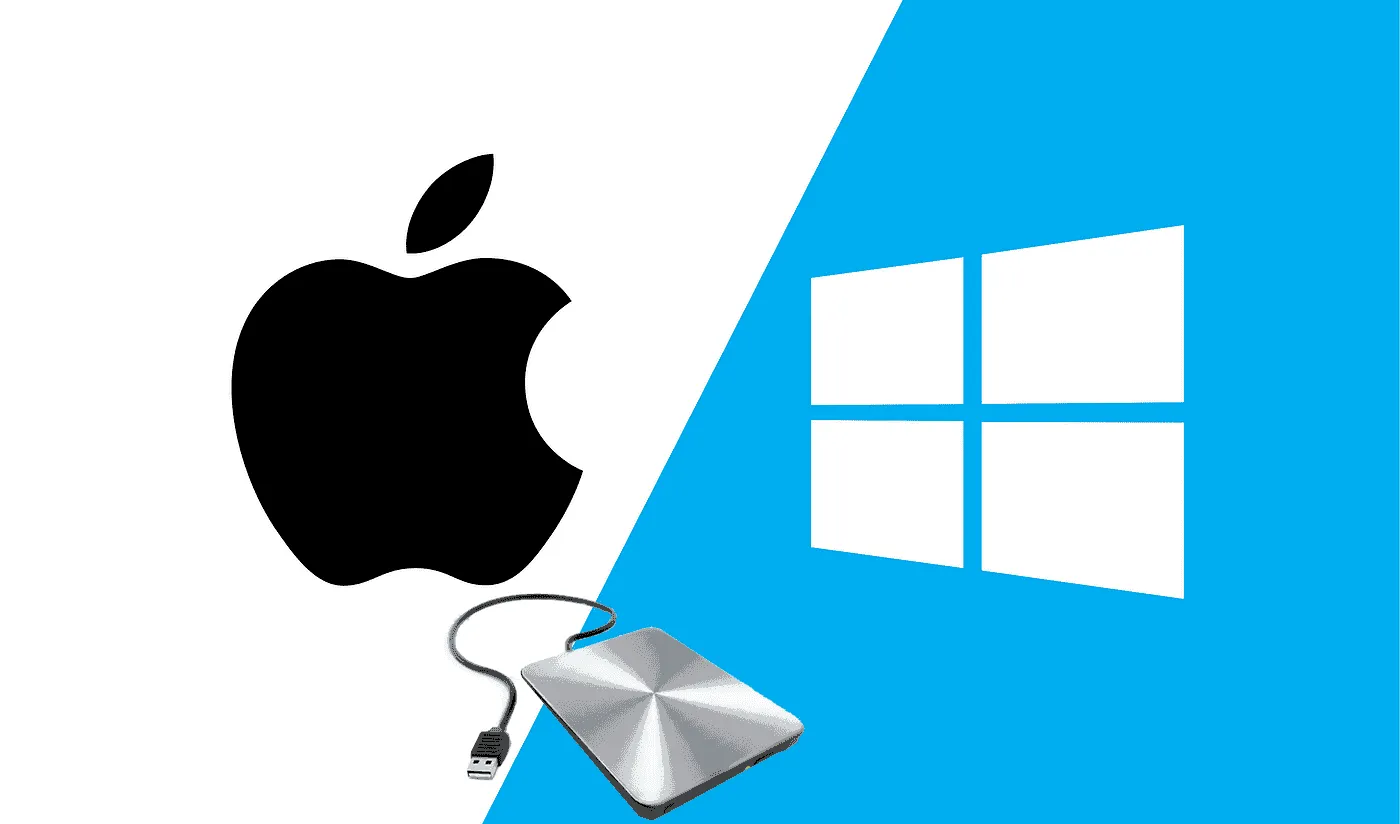 imagem 2024 03 01 022626452