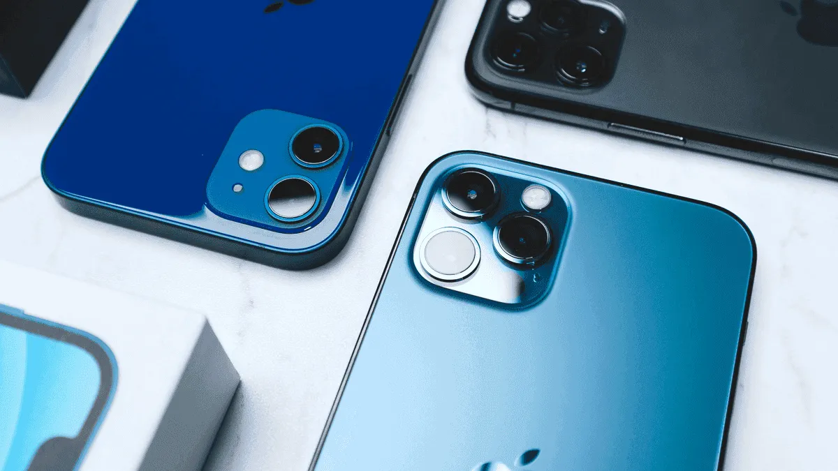 imagem 2024 07 24 174126014