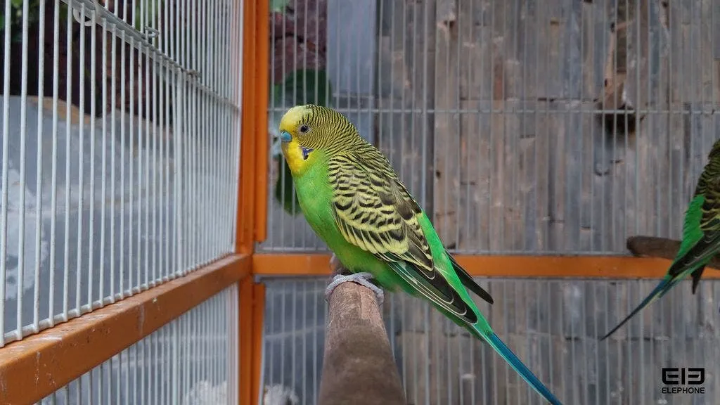 img 20180109 0431399