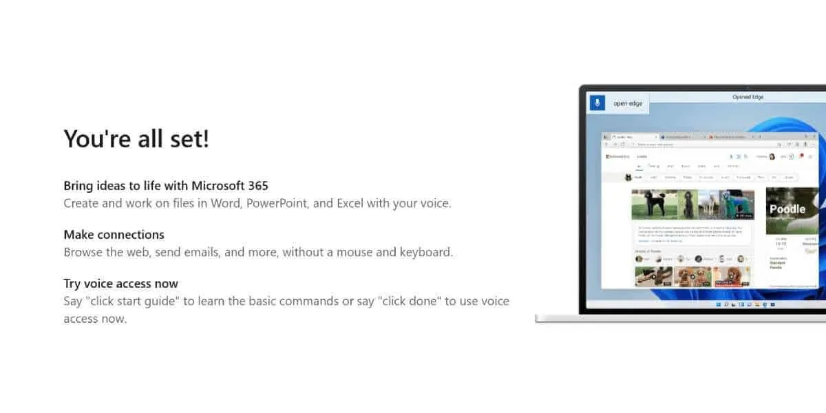 microsoft windows 11 voice access setup